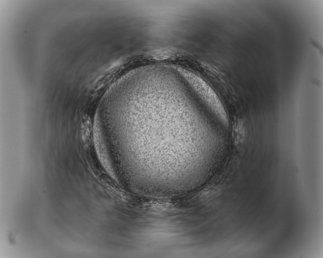 X0000102801349200809021127