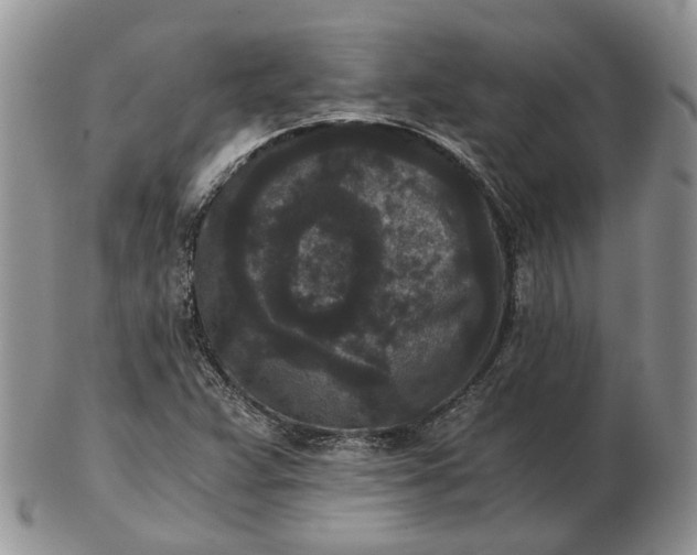 X0000102801359200809021127