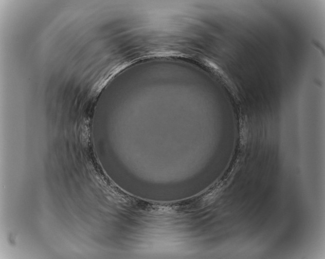 X0000102801361200809021127