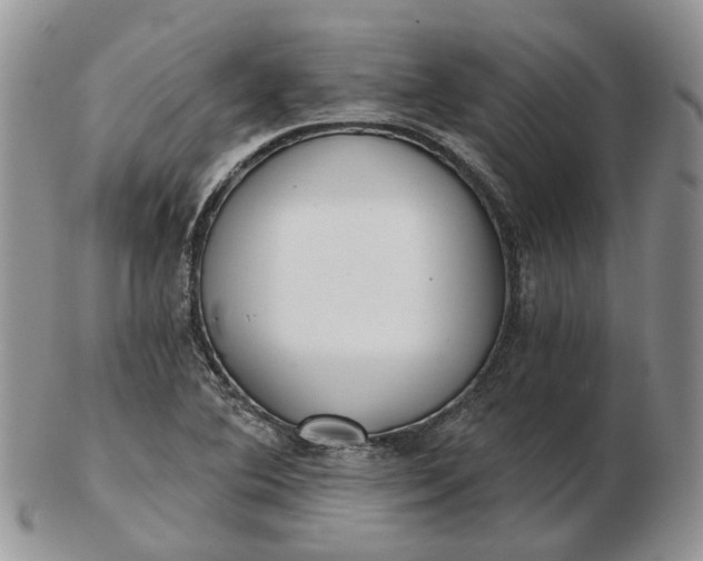 X0000102801364200809021127