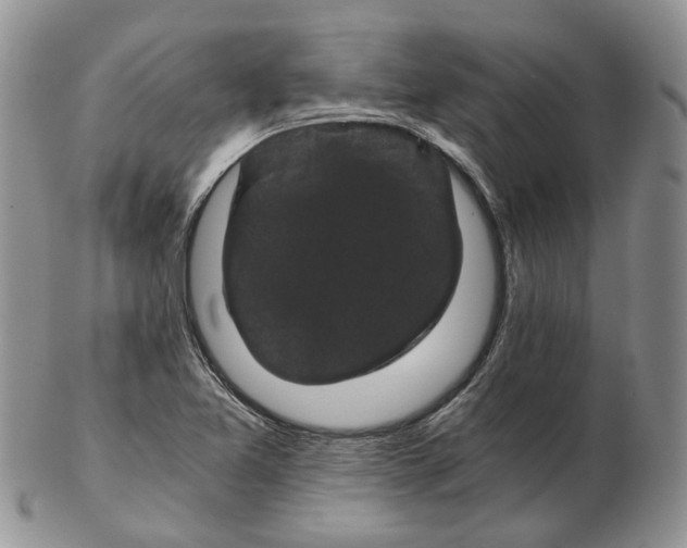 X0000102801365200809021127