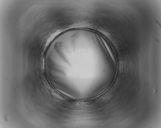 X0000102801366200809021127