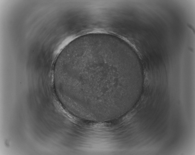 X0000102801367200809021127