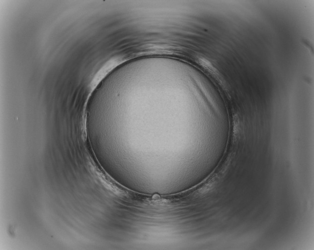 X0000102801370200809021127