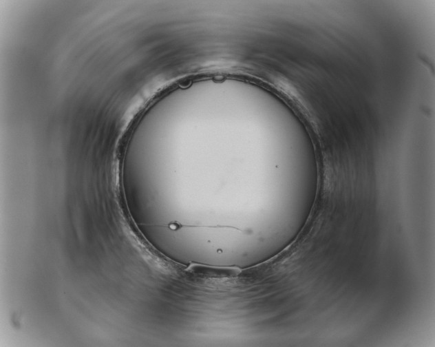 X0000102801376200809021126