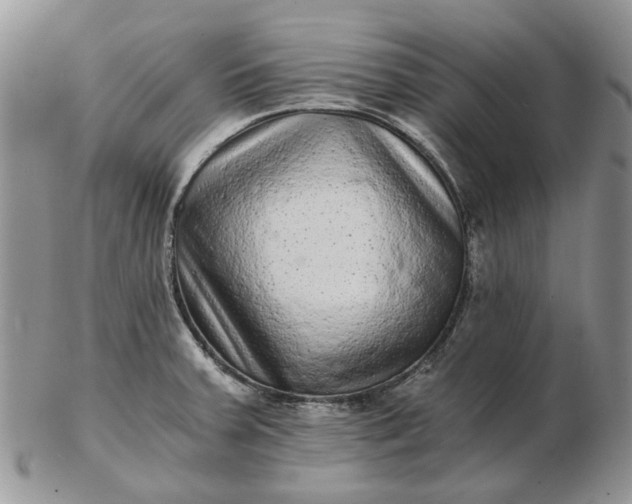 X0000102801379200809021126