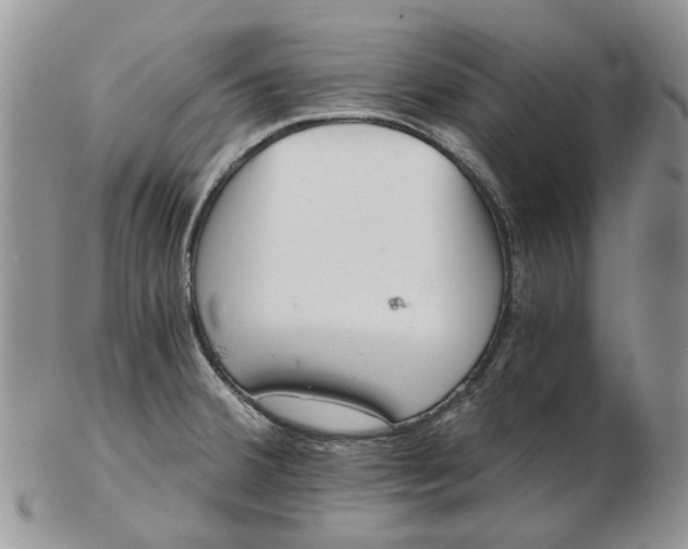 X0000102801380200809021126