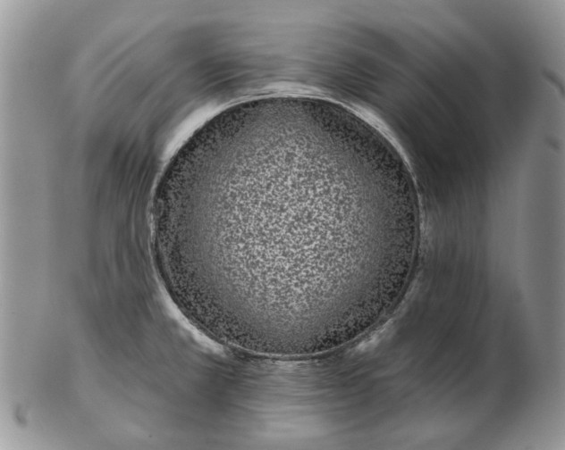 X0000102801381200809021126