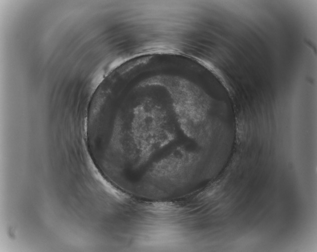 X0000102801383200809021126