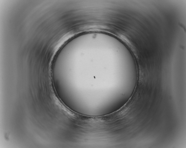 X0000102801384200809021126