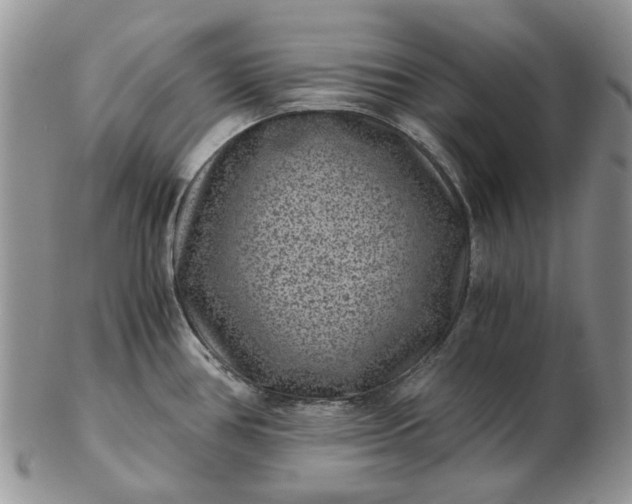 X0000102801386200809021126