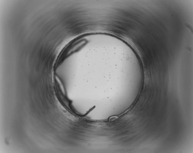 X0000102801388200809021126