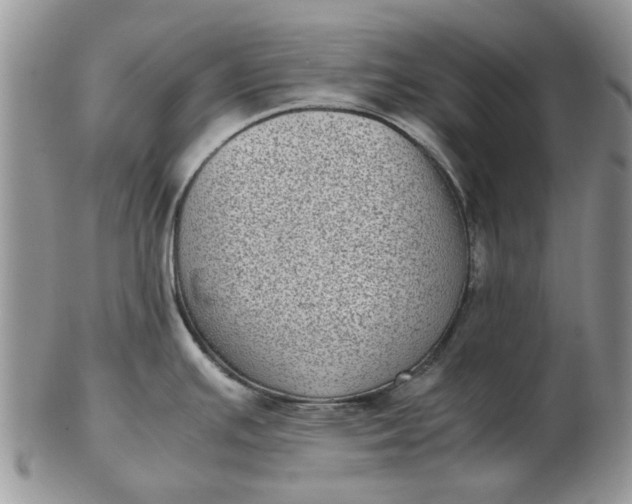 X0000102801391200809021126