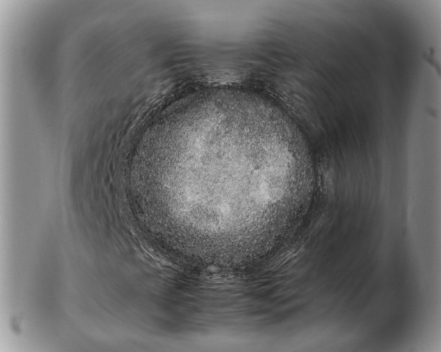 X0000102801393200809021126