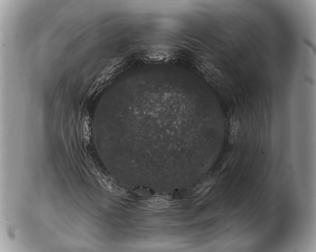 X0000102801394200809021126