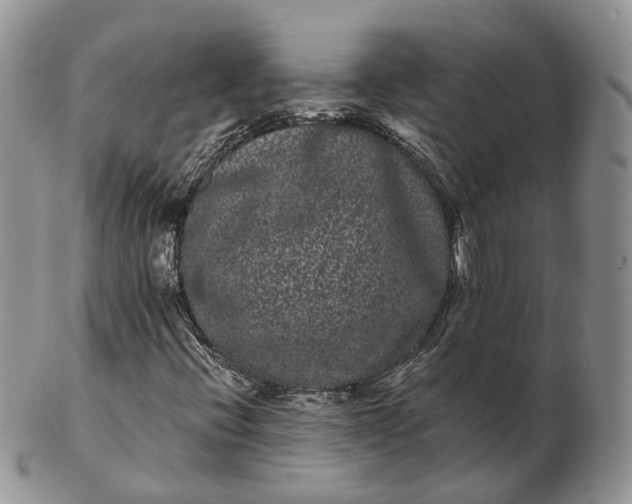 X0000102801396200809021126