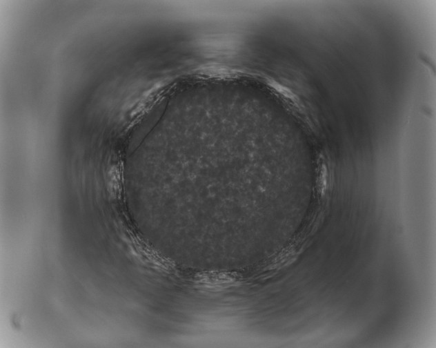 X0000102801397200809021126