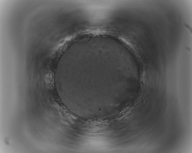 X0000102801398200809021126