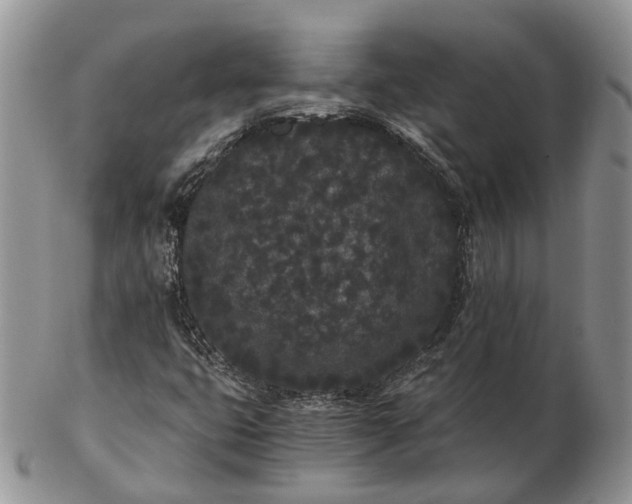 X0000102801399200809021126