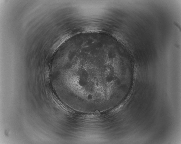 X0000102801401200809021126