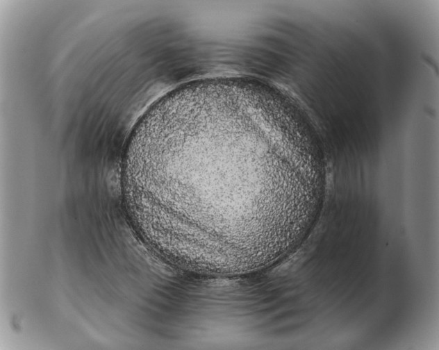 X0000102801409200809021126