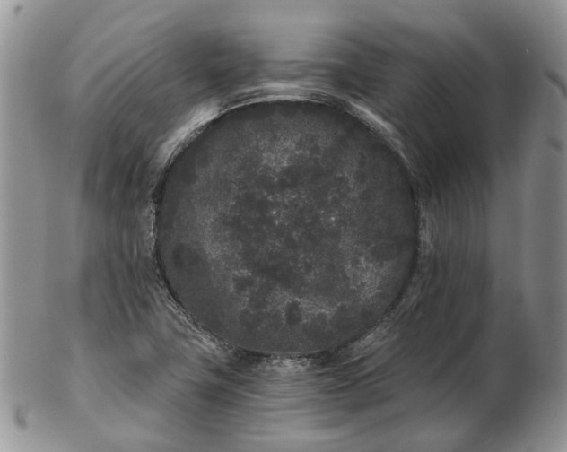 X0000102801411200809021126