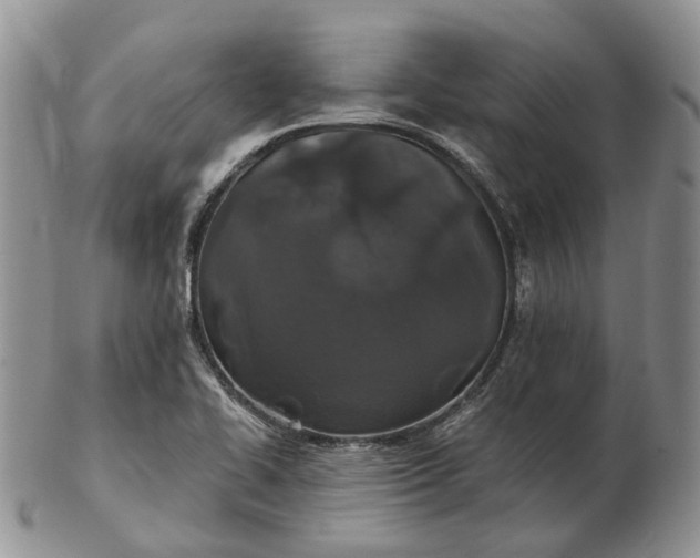 X0000102801414200809021126