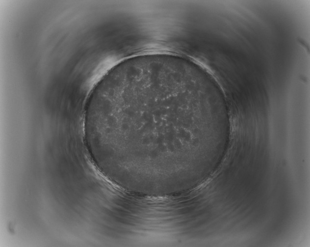 X0000102801415200809021126