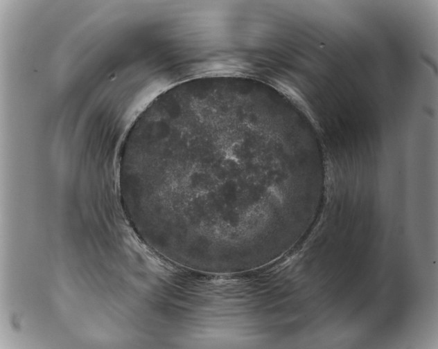 X0000102801419200809021126