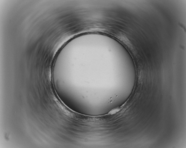 X0000102801420200809021126