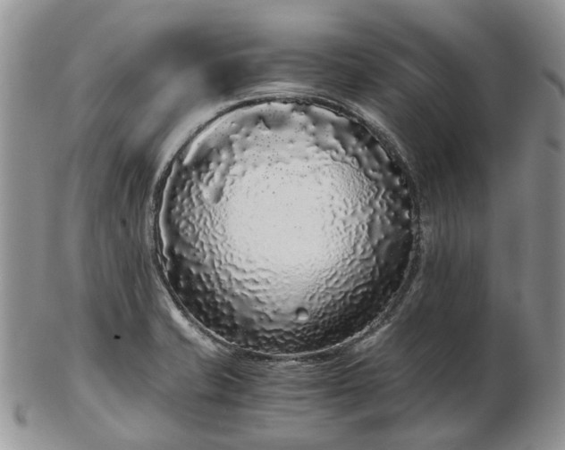 X0000102801421200809021126