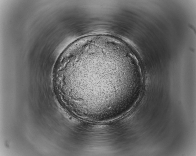 X0000102801423200809021126