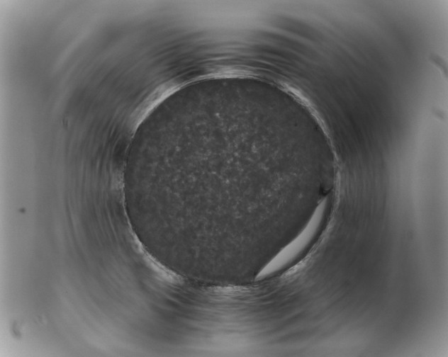 X0000102801425200809021126