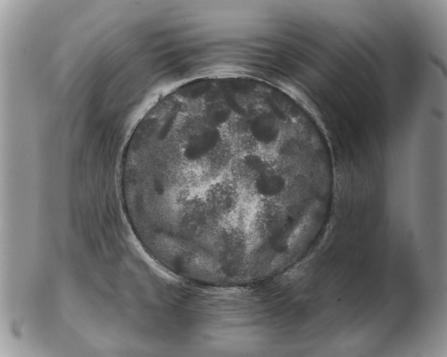 X0000102801429200809021126