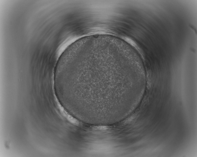 X0000102801431200809021126