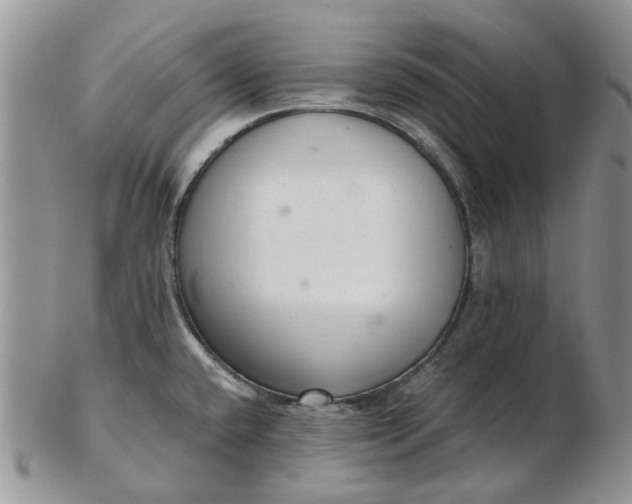 X0000102801432200809021126