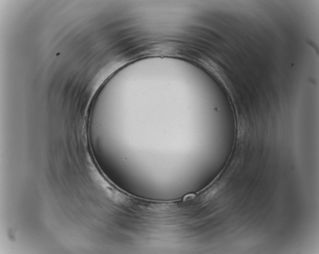 X0000102801434200809021126