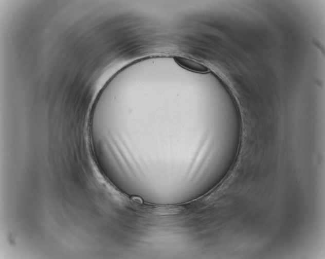 X0000102801440200809021126