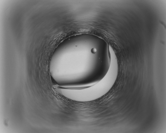 X0000102801441200809021126