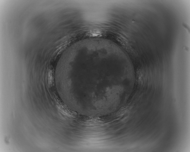 X0000102801442200809021126