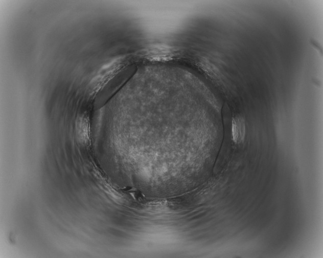 X0000102801444200809021126