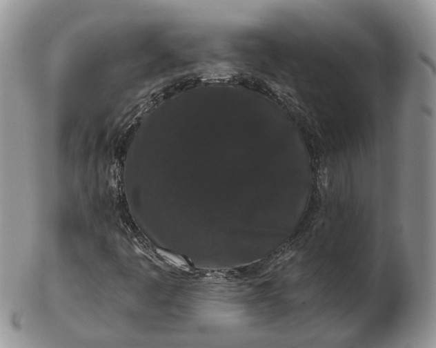 X0000102801445200809021126