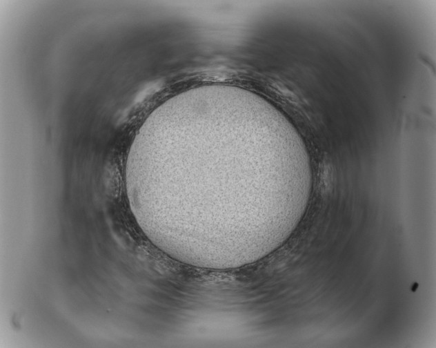 X0000102801446200809021126