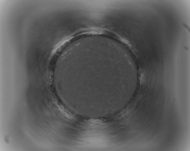 X0000102801448200809021125