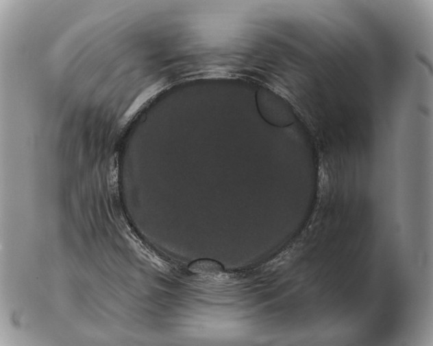 X0000102801450200809021125