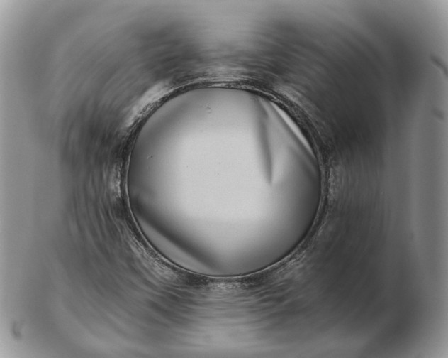 X0000102801451200809021125