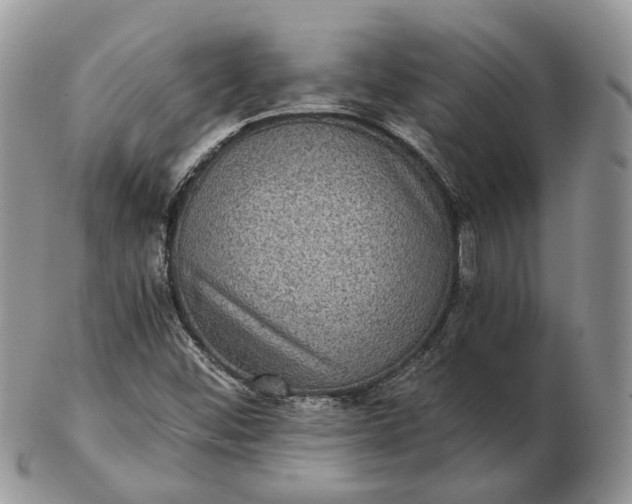 X0000102801452200809021125