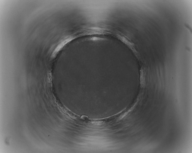 X0000102801453200809021125