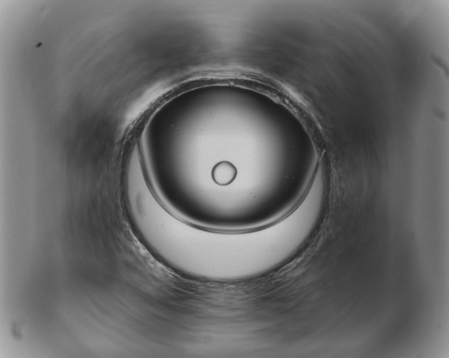 X0000102801456200809021125