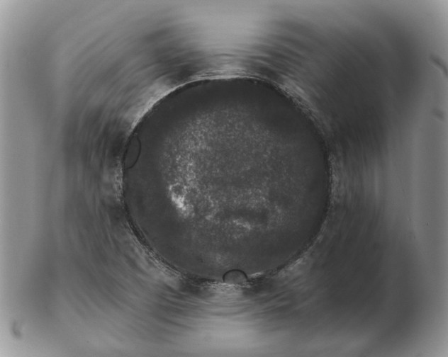 X0000102801457200809021125